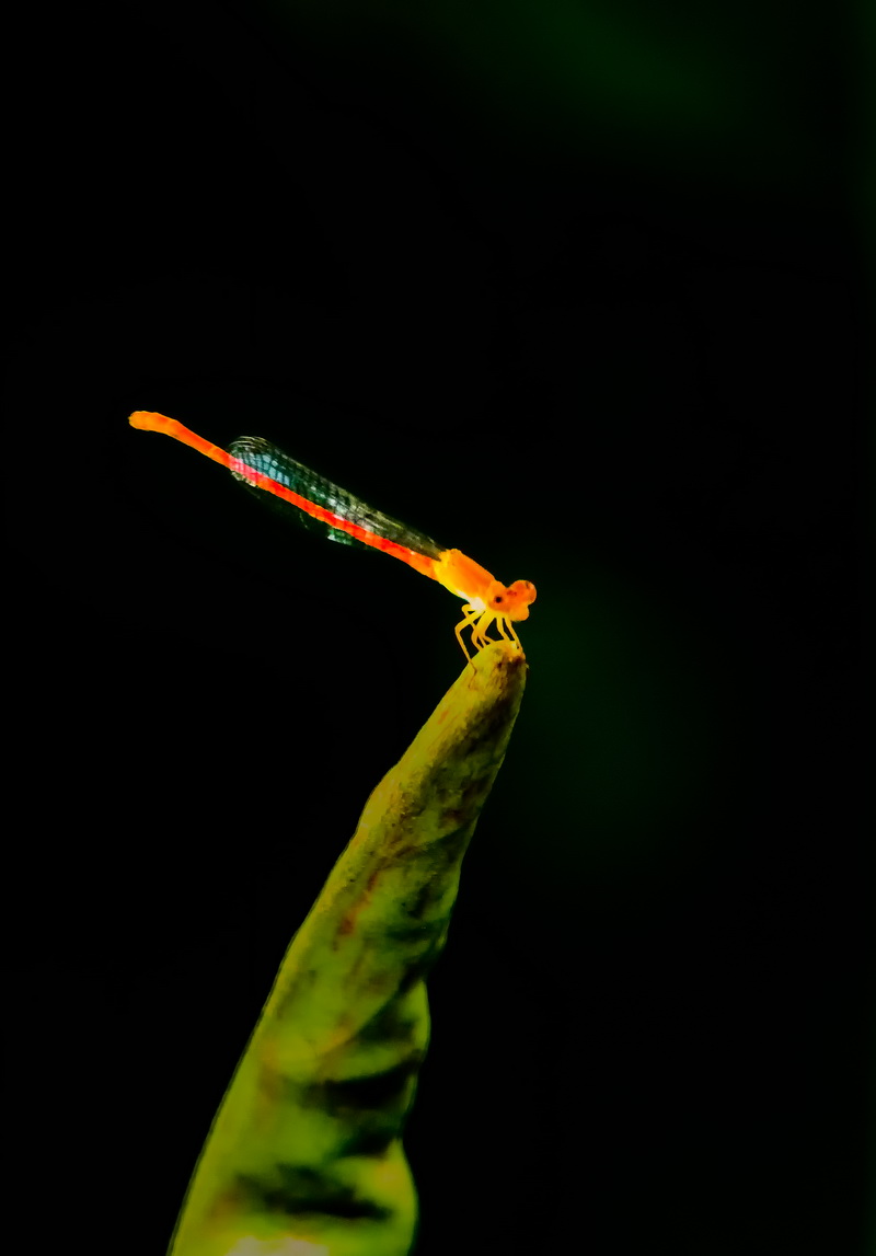 7D190704һ-(34)-1.jpg