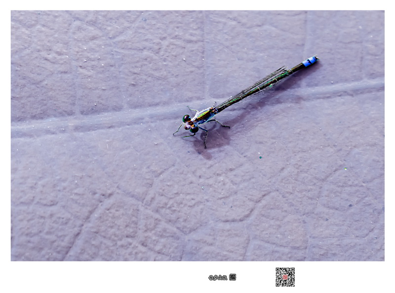 7D190704һ-(22)-1.jpg