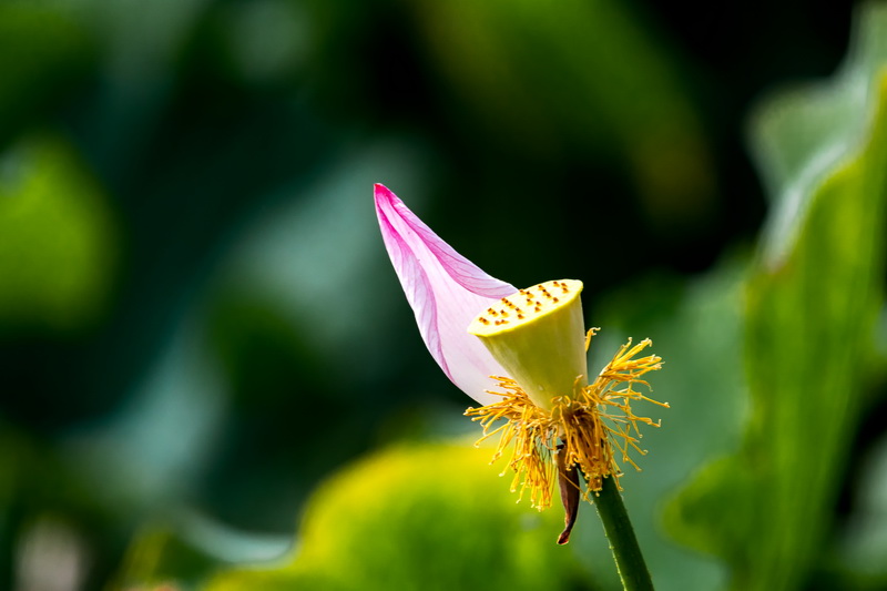 7D190628ԥɷ217-1.jpg