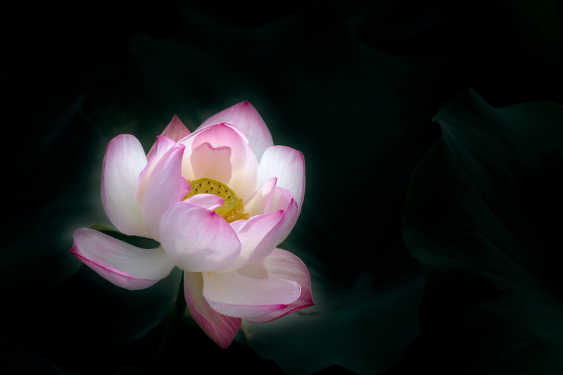 7D190628ԥɷ241-1.jpg