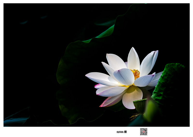 7D190704һ-(53)-1.jpg