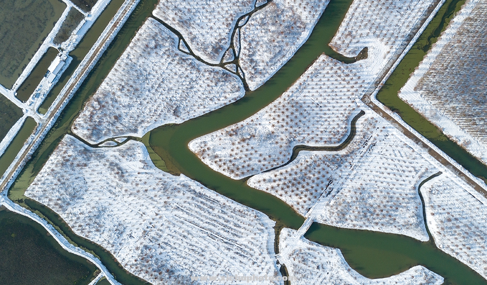 DJI_0064.jpg