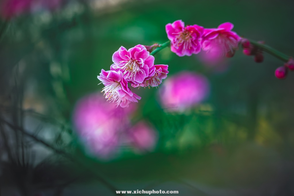 5D0305ӳ÷-(17)-1.jpg