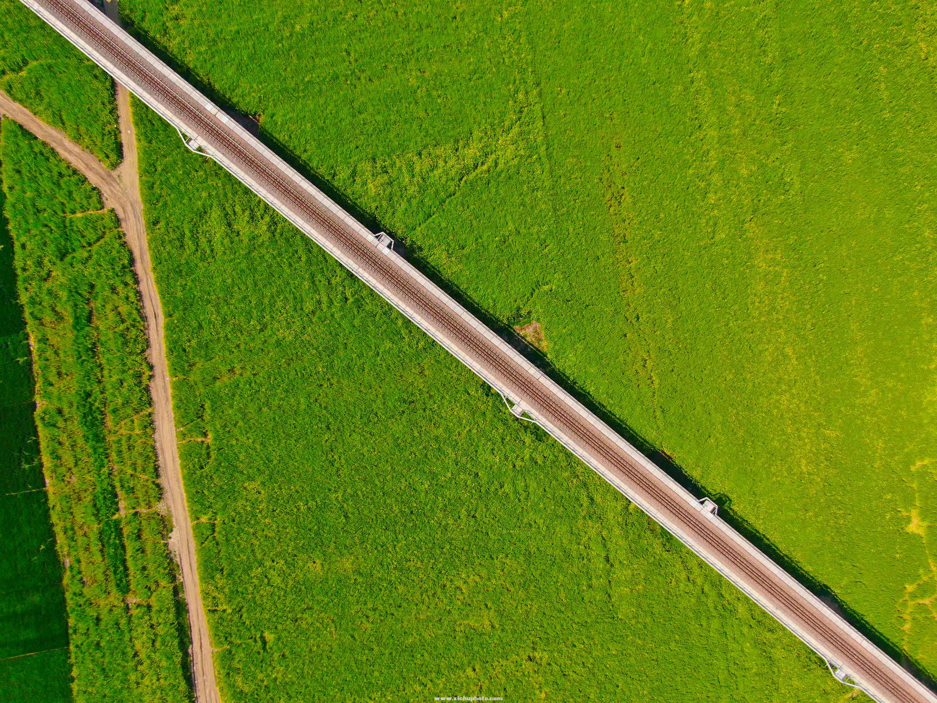 DJI_0131.jpg