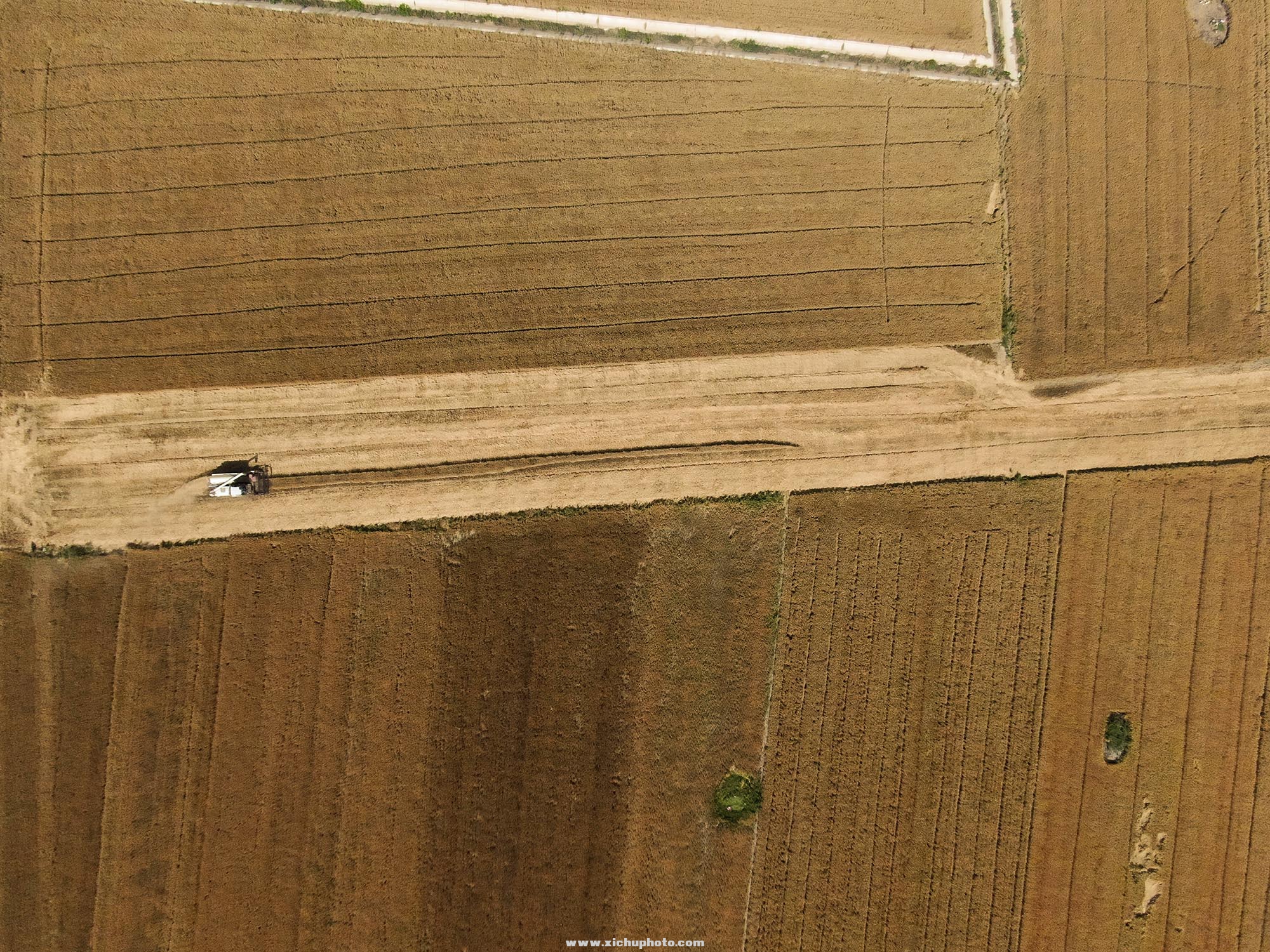 DJI_0339.jpg