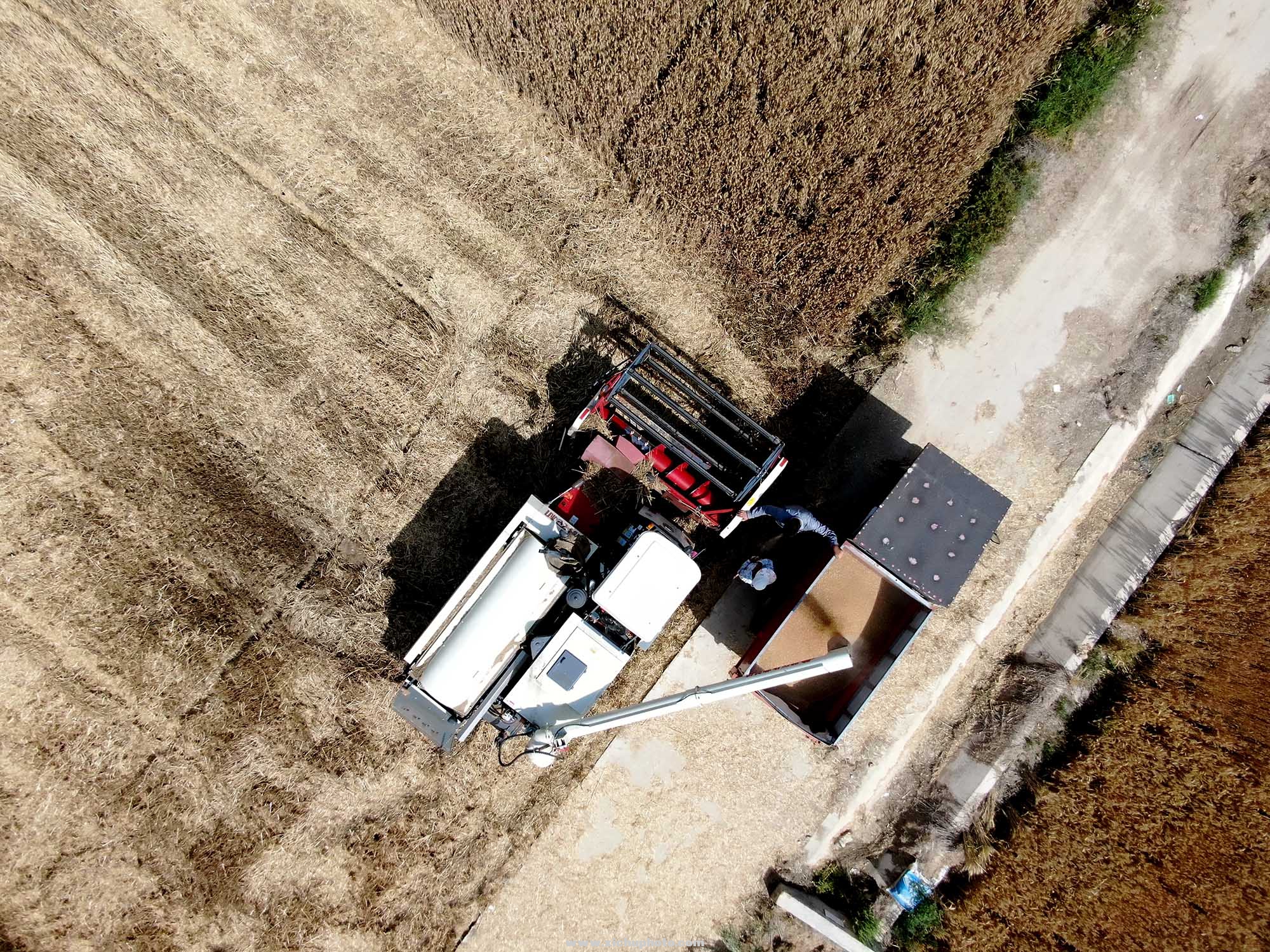 DJI_0360.jpg