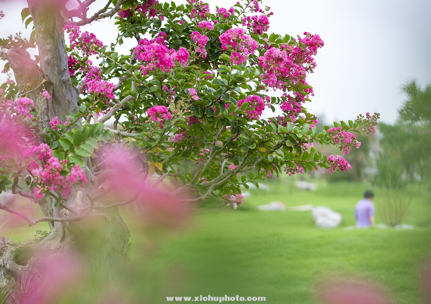 J78D2720-1.jpg