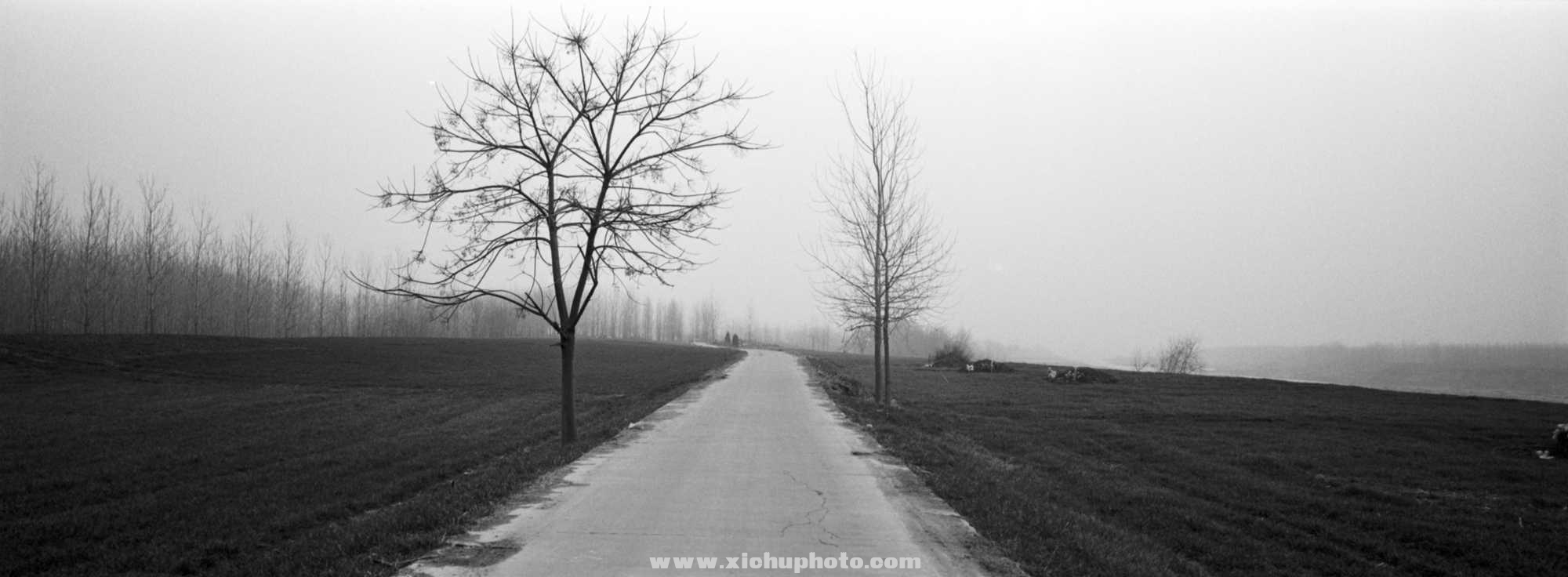 Image-2-(66)-2.jpg