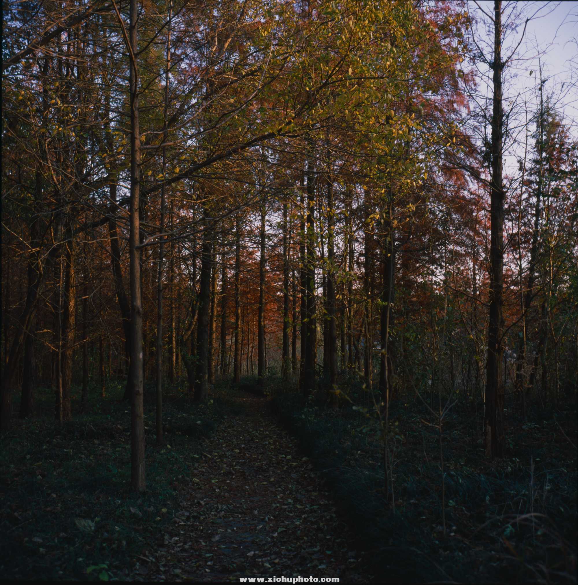 Untitled-(3).jpg