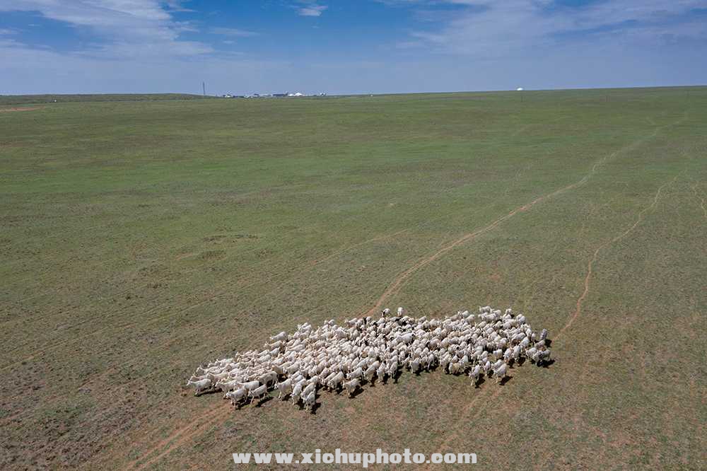 DJI_0006-1.jpg