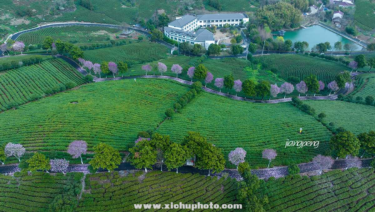 DJI_0129-1.jpg