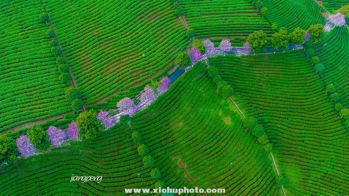DJI_0072-2.jpg