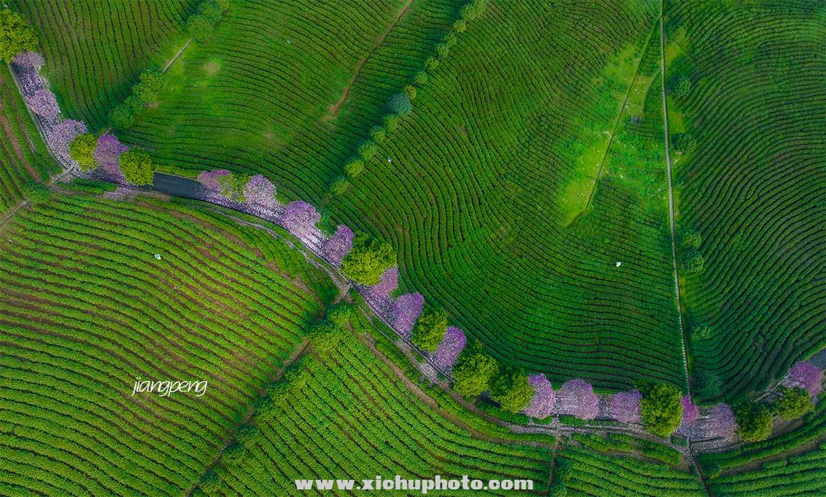 DJI_0153-1.jpg