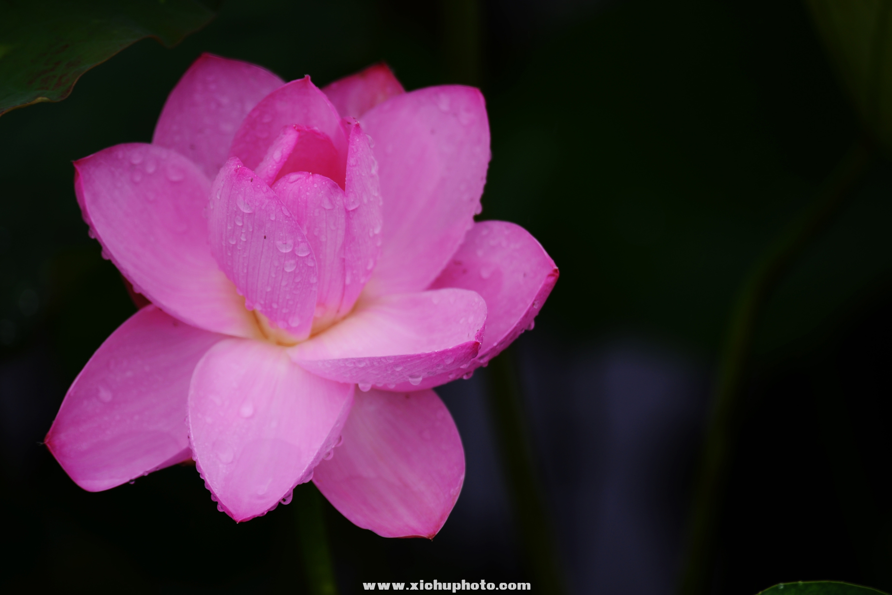DSC_2965ih.jpg