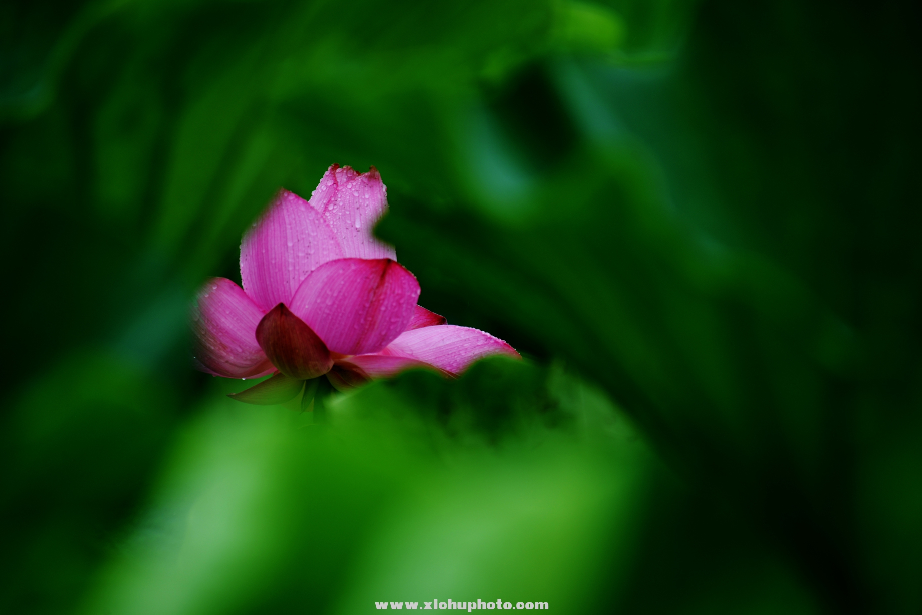 DSC_3044ih.jpg