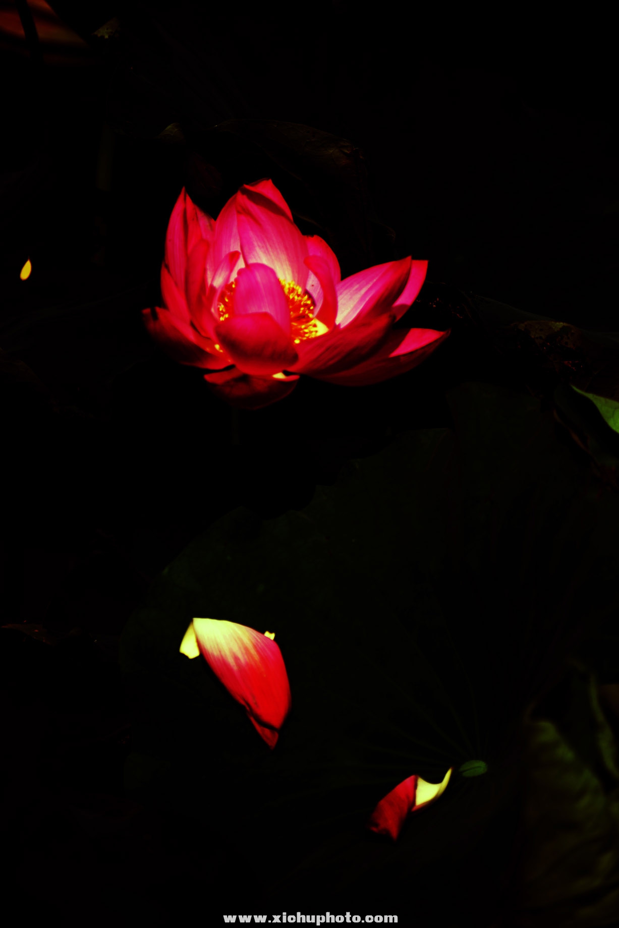 DSC_3072ih.jpg