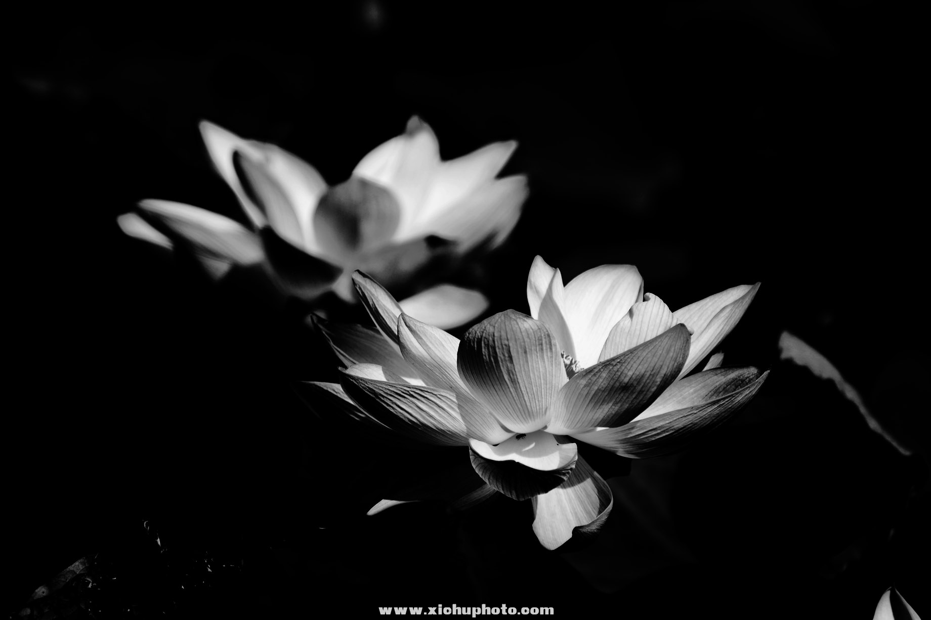 DSC_3078ih.jpg