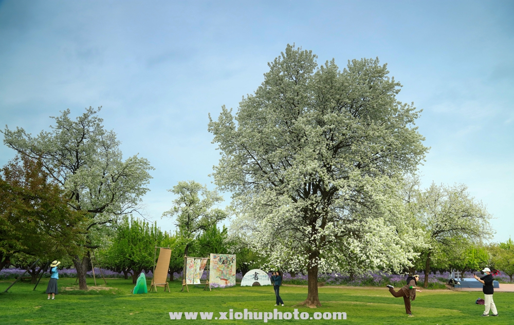 IMG_8787.jpg