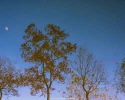 һˮ